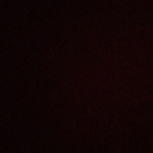 Meet your Posher, Nelly